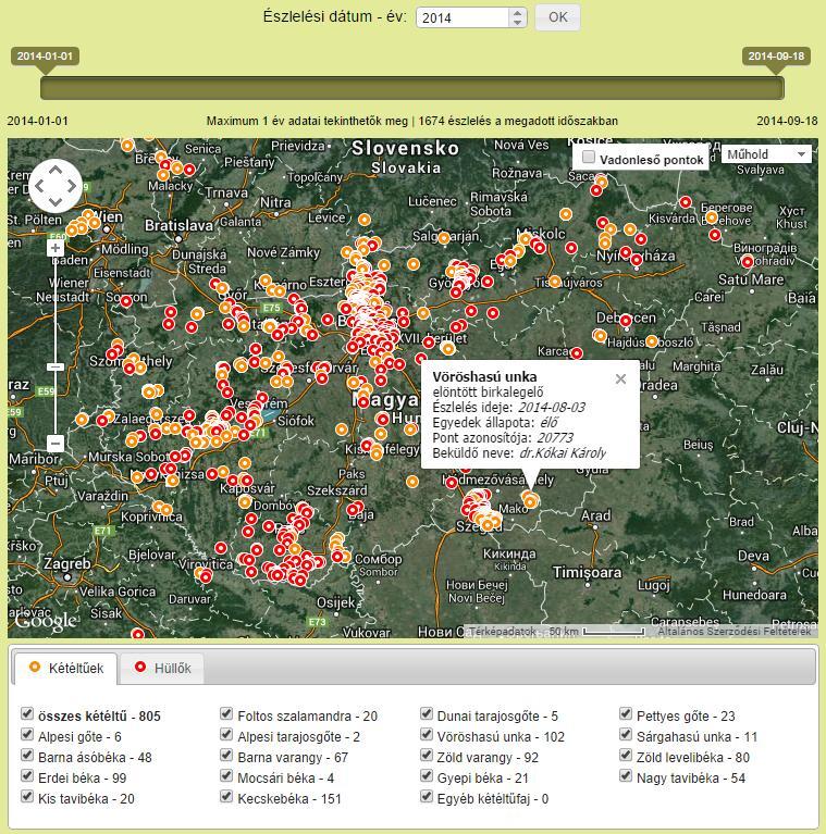 Jogosultságok: A madárbarát Online elérhető adatbázisok Kétéltűek és hüllők térképezése megtekintés: nyitott bárki számára adatfeltöltés: regisztrált felhasználók Összegzések, eredmények