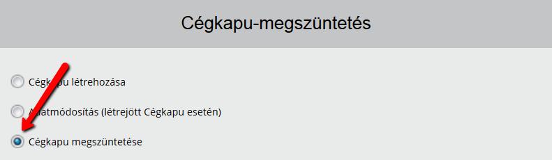 Az űrlapalkalmazás automatikusan betöltődik. A törlés kezdeményezéséhez válassza a Cégkapu megszüntetése opciót. Az űrlap címe, ill. az I. blokk elnevezése automatikusan megváltozik.