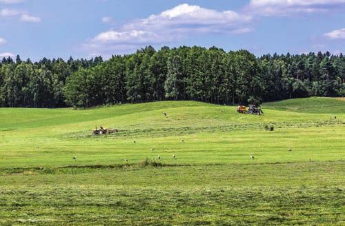 Szép példa erre a Pó-síkság. Európa folyóvízrendszere a jégkorszak után nyerte el mai formáját.