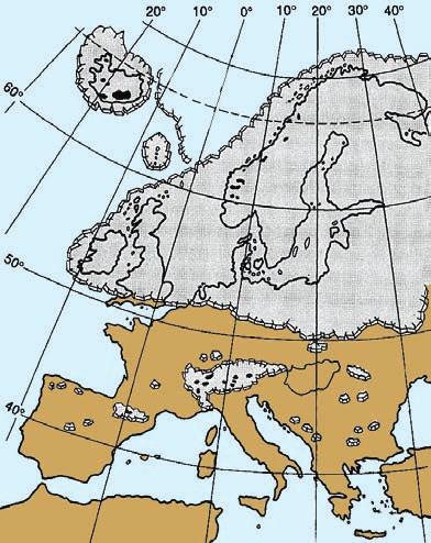 Mintegy kétmillió éven keresztül, több szakaszban, Európára is jégkorszak köszöntött be. A vastag jégtakaró csiszolta, formálta a tájat.