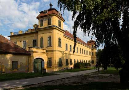 ESTERHÁZY-KASTÉLY 2890 Tata, Kastély tér 1. ELHELYEZKEDÉS: Az Esterházy-kastély Tatán, a vár mellett, az Öreg-tó partján található.