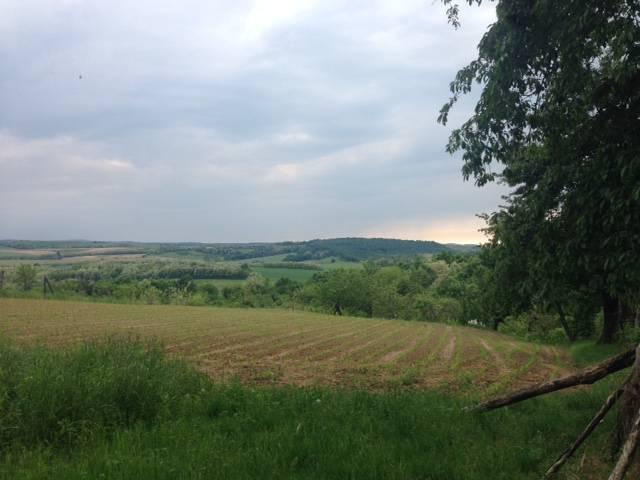 erdőkkel, legelőkkel, szántókkal övezett festői