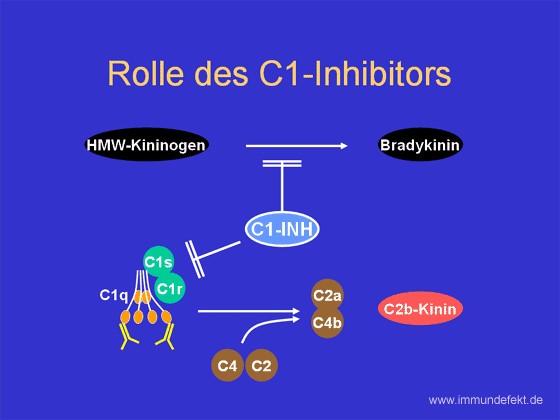 Komplement- deficienciák C1-inhibitor- deficiencia (herediter angioneurotikus ödéma) Incidencia:2/100,000.