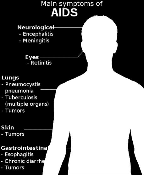 törzsek, Salmonella törzsek Vírusok: HSV, CMV, VZV Tumorok: