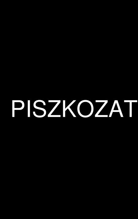 Nyilatkozat 2 Alulírott Katona Zsolt Zoltán (hivatalos képviselő neve), mint a Kérelmező képviselője, 1.