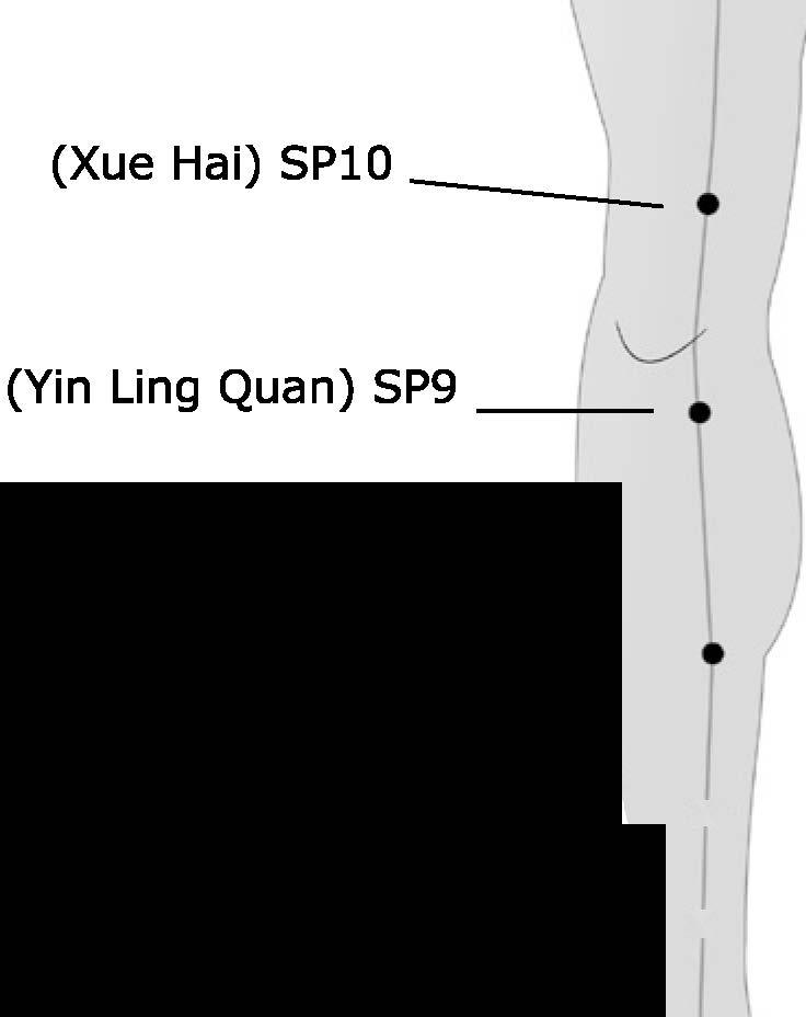 (Shi Dou) SP17 (Da Heng)