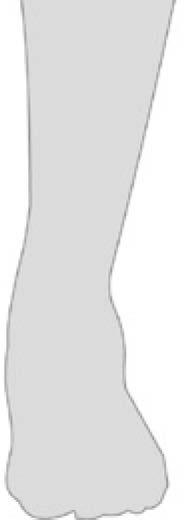 SP6 \ (Gong Sun) SP4 "-l