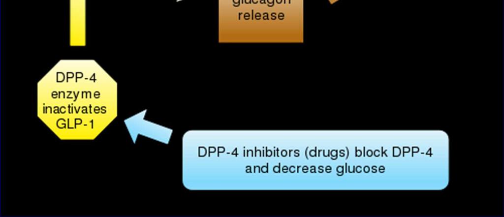 peptid