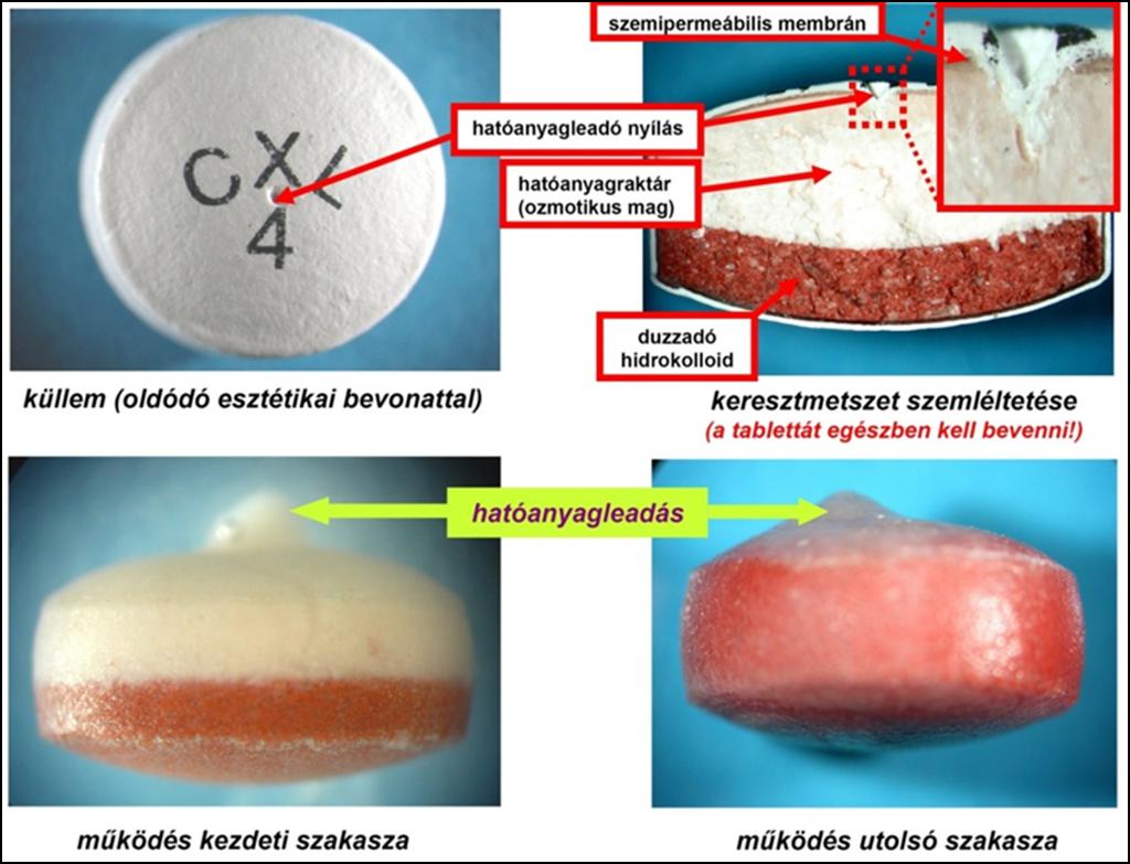 Gastrointestinal