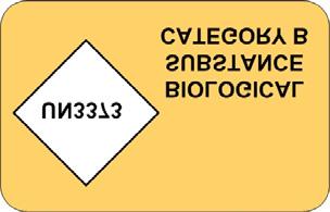 O UN2211 Habosítható polimer gyöngyök 9 osztály, PG.