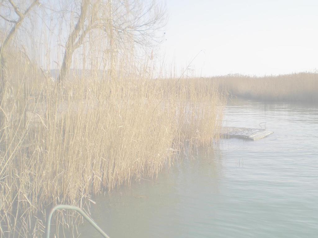 A Balaton partvonal-szabályozásának megvalósítása és elvei 4. A szabályozási elvek érvényesítése - A tényleges állapot részletes helyszíni felmérése: 1993 1998.