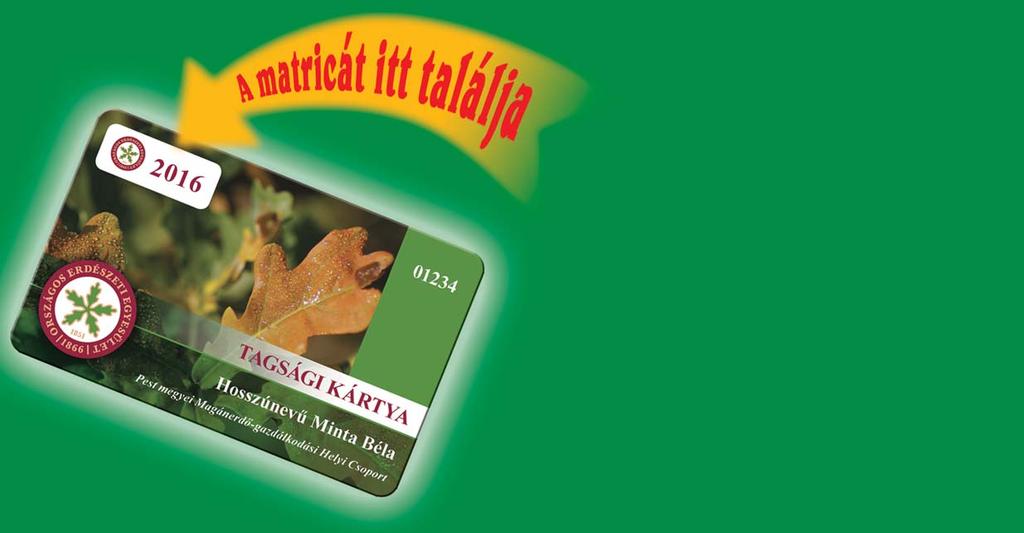 készült fatermékek kerülhetnek forgalomba, az úgynevezett EUTR szabályozás (European Timber Regulation) alapján.