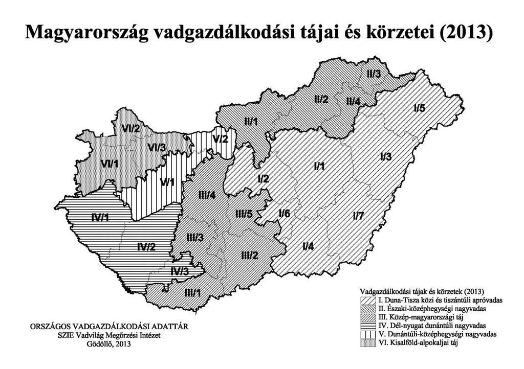 1. ábra: Vadgazdálkodási tájak és körzetek Ezeket váltották fel a tájegységek, melyek irányításáért a tájegységi fővadászok felelnek,