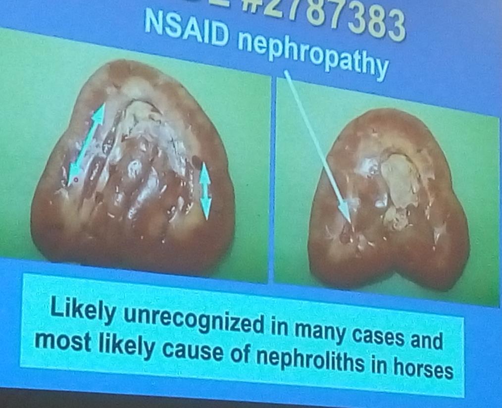 nekrózis (NSAID +