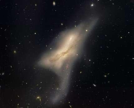 NGC520 jelű Galaxis a
