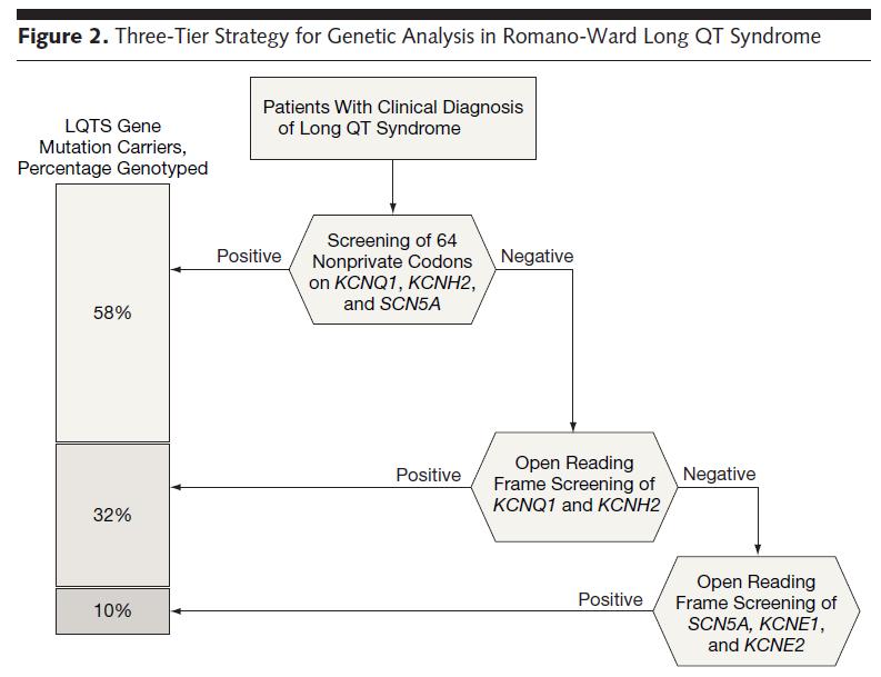 Targeted screening of the KCNQ1, KCNH2