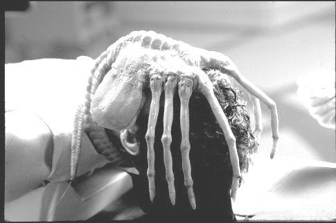 Momentán filmajánló- Halloween estére A horrorfilmek egyidősek a mozival, a horror az első népszerű filmműfajok közé tartozik.