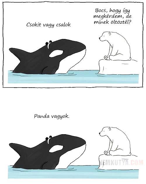 legjavából