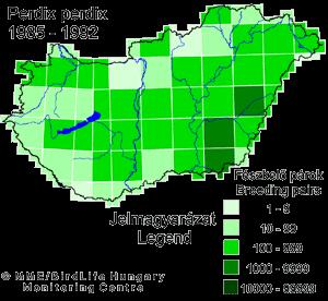 Elterjedés - állományhelyzet Európában az Ibériai-félsziget középső és déli részét,