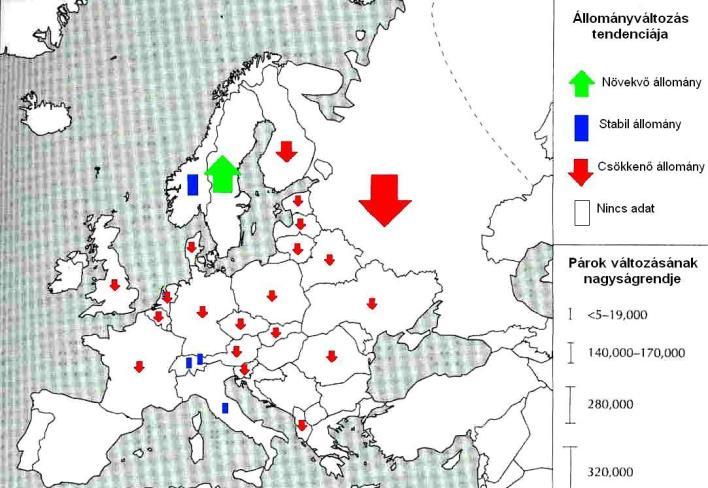 A siketfajd eurázsiai állomány változása, Storch (2000) Elterjedés- állományhelyzet Európában Skandináviában, a Brit-szigeteken, az Ibériai-félsziget északi részén, valamint az Alpok és a Kárpátok