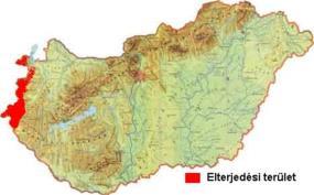 végén jelent meg újra a Soproni- és Kőszegi-hegységben; Valószínűleg az Alsó-ausztriai siketfajd populáció felszaporodásának következtében; Nagyobb állománya nem alakult ki, 150-200 db egyed