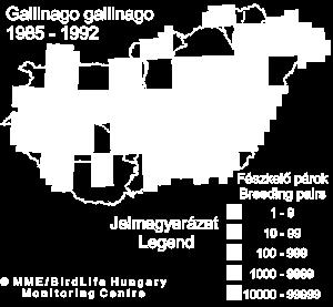Rend: Lilealakúak Család: Szalonkafélék Faj: Sárszalonka (Gallinago gallinago) Vadászhatóság: fokozottan védett Felismerés 23-28 cm, barnás színű, hosszú csőrű, mocsári madár; hátoldala