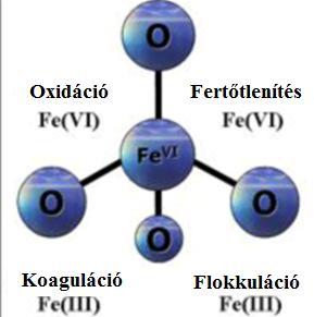 Ferrát (FeO 4 2- ) A ferrát a jelenleg ismert leghatékonyabb, mégis környezetbarát oxidáló-, és fertőtlenítőszer hatókomponense a