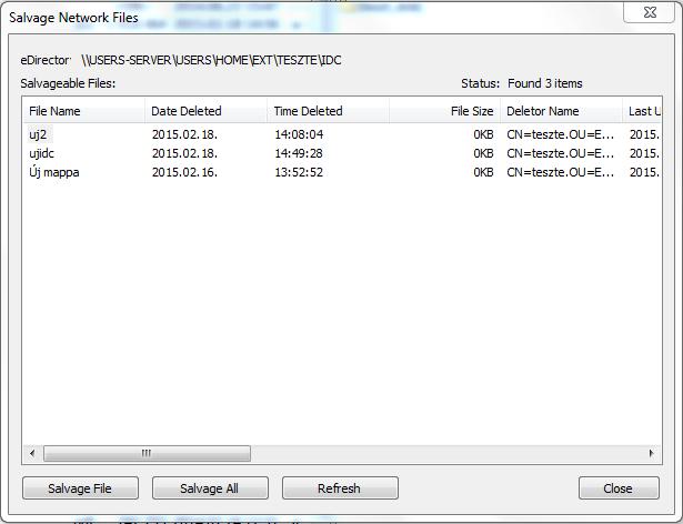 - 17 - Törölt fájl visszaállítása (Salvage Files) A Novell hálózatról törölt fájlok, könyvtárak nem a Windows Lomtárba kerülnek, hanem a Novell kezeli őket, így az esetleges visszaállításuk sem
