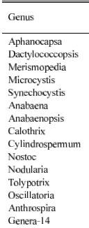 Cyanobacteria Kékbaktériumok