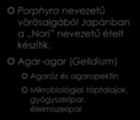 agaropektin Mikrobiológiai