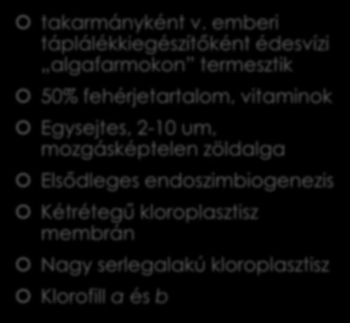 endoszimbiogenezis Kétrétegű