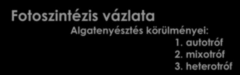 körülményei: 1.