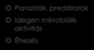 Idegen