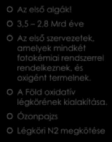 Chroococcus