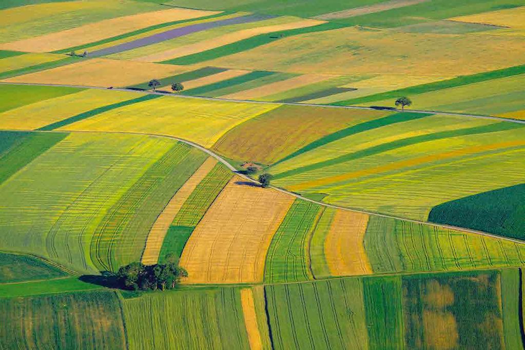 2016. JÚNIUS AZ N-LOCK (NITROGÉN STABILIZÁTOR) HASZNÁLATA A KÖRNYEZETMEGÓVÁSA ÉRDEKÉBEN Az Európai Unió Közös Agrárpolitikájának reformja keretében került átalakításra az agrár- és vidékfejlesztési