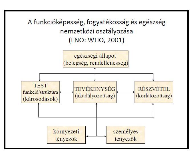 Fogyatékosság fogalma