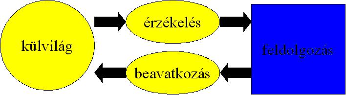 Fzka mérmódszerek jegyzet. Bevezetés Az ember léthez szorosan kötdk a környez vlág megsmerésének, alakításának célja.