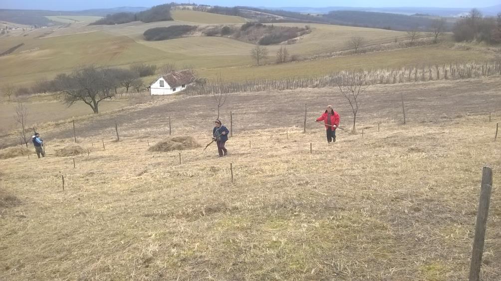 FŐOSZTÁLYI KAPCSOLÓDÁSOK ZÁRTKERTI REVITALIZÁCIÓS PROGRAM Egyedi támogatási kérelem benyújtásával igényelhető támogatás zártkerti fekvésű földrészlet művelési célú revitalizációját szolgáló