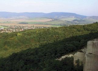 6. ábra: Kilátás egy nyugat-mátrai költőhelyről a Kelet- Cserhátra és a Zagyva menti táplálkozóterületekre (fotó: Schwartz Vince) / View of the Cserhát and Zagyva region from a nest site in the