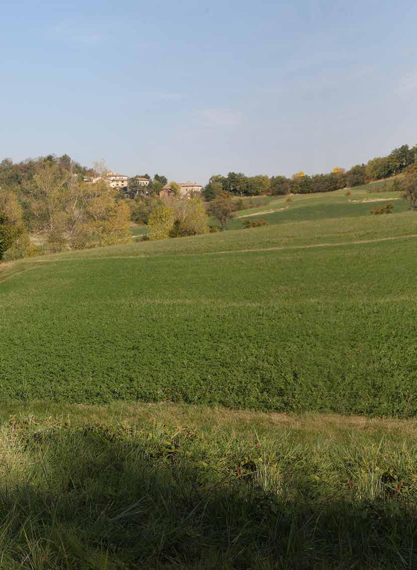 Védőruházat Méret átváltó táblázat NEMZETKÖZI OLASZORSZÁG FRANCIAORSZÁG NÉMETORSZÁG SPANYOLORSZÁG EGYESÜLT KIRÁLYSÁG.