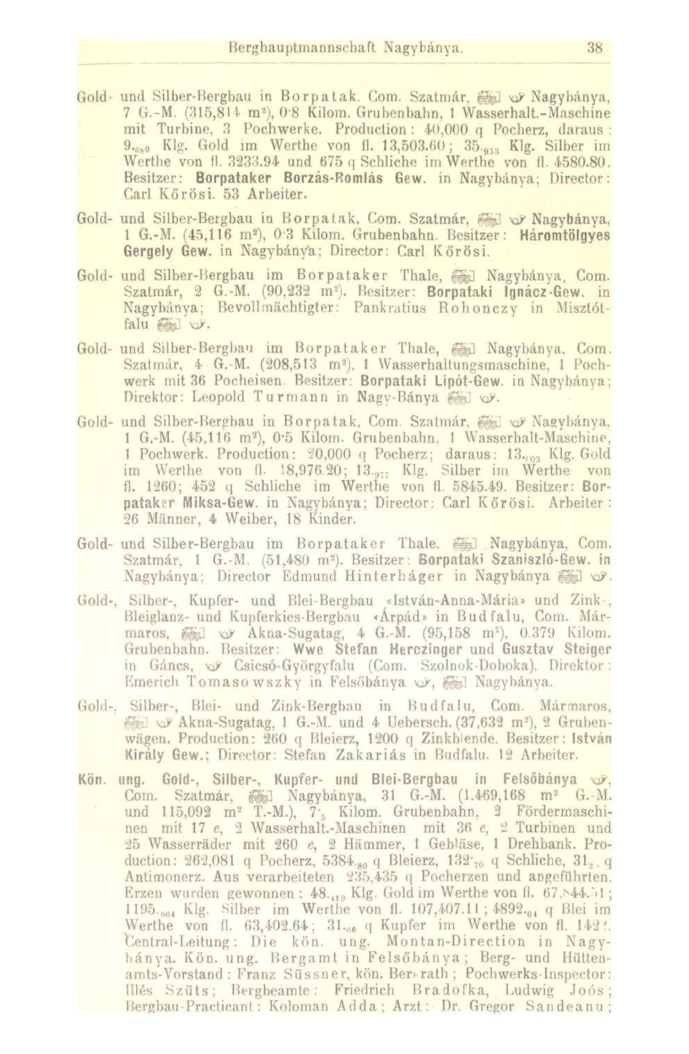 Berghauptmannsehaft Nagybánya. 38 Gold- und Silber-Bergbau in Borpatak, Com. Szatmár, fej ^Nagybánya, 7 G.-M. (315,811- m 2 ), 08 Kilom. Grubenbahn, 1 Wasserhalt.-Maschine mit Turbine, 3 Pochwerke.