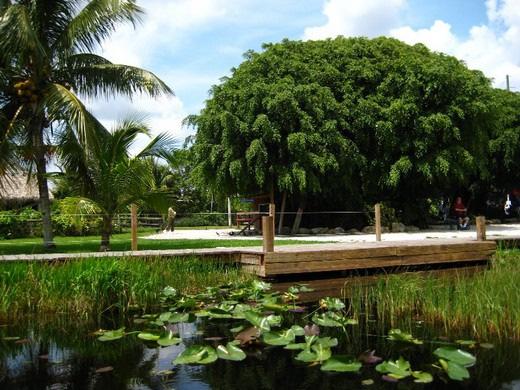 nap: Everglades + Orlando Reggel indulunk Orlandóba, de