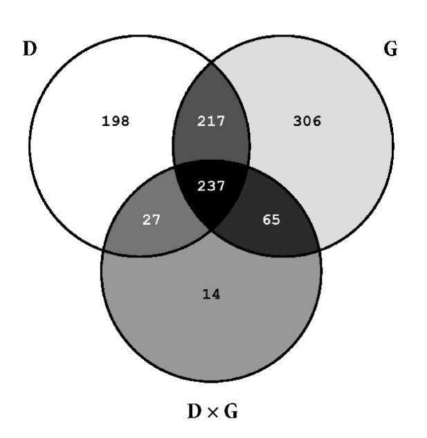 28. ábra Venn-diagram azon gének darabszámából, amelyekre hatással volt vagy a fejlődési állapot (D) vagy a genotípus (G) vagy ezen tényezők kölcsönhatása (D G) és expressziós eltérésük, a fenti