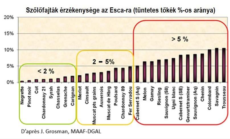 Számos tanulmány bizonyította a fajták eltérő érzékenységét, melyek alapján az Esca gyakorisága alacsonyabb például a Montepulciano és a Merlot fajták esetén, míg a Sangiovese, Cabernet sauvignon,