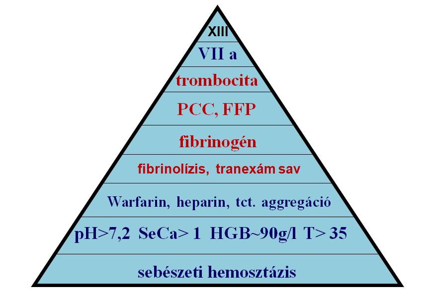 Kezelési stratégia The Görlinger s pyramid