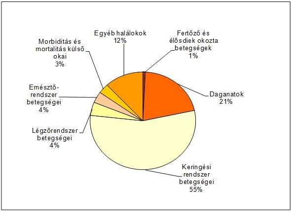 9. ábra: Haláloki struktúra BÁCS-KISKUN megyében, 0-X éves férfiak, 2015 Morbiditás és mortalitás külső okai 7% Emésztőrendszer betegségei 5% Egyéb halálokok 9% Fertőző és élősdiek okozta