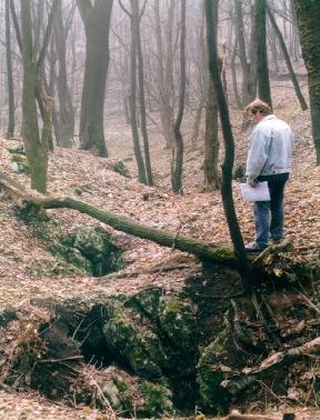 A lejtők tövében és a völgytalpakon mindenütt gyakori egyirányba görbült fatörzsek azt bizonyítják, hogy a feltöltődés javát okozó lejtőmozgások nemcsak a jégkorszakok idején voltak jelentősek, hanem