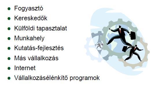 érdemlően elvégezte a szükséges piackutatást