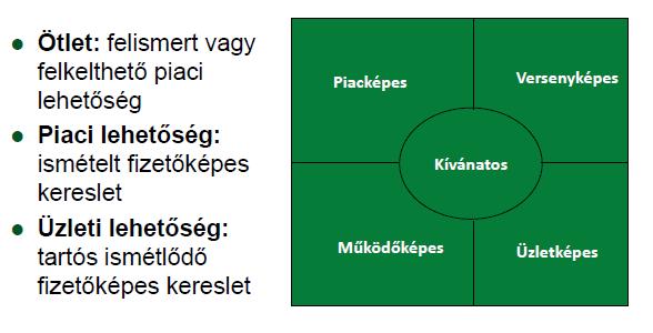 vállalkozás gazdaságosan működtethető,