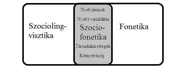 TÓTH ANDREA SZABÓ ÁGNES Szociofonetika A szociofonetika a szociolingvisztika és a fonetika határterülete, amely szociolingvisztikai tényezők (pl.